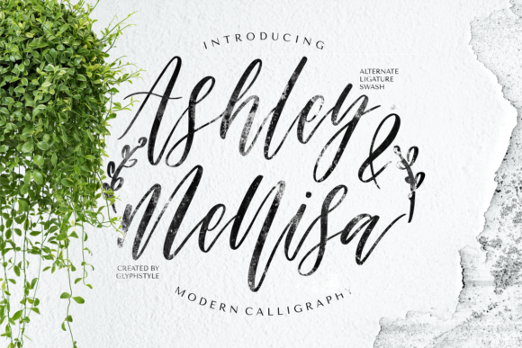 Ashley Mellisa: A Contemporary Script Font for Editorial Design