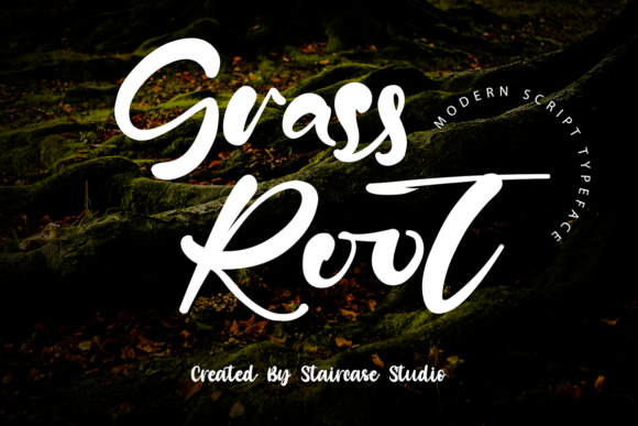 Grass Root: A Modern Script Font for Bold Campaign Designs