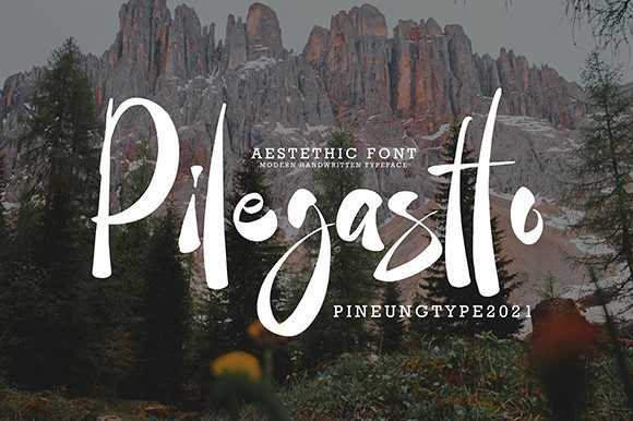 Pilegastto Script Font Review