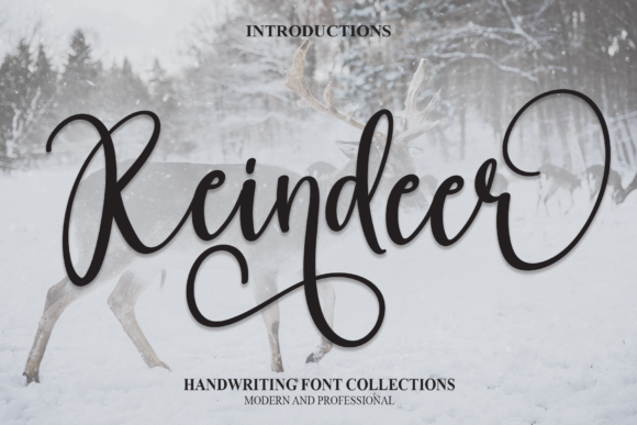 Reindeer Font for Editorial Design and Content Creation